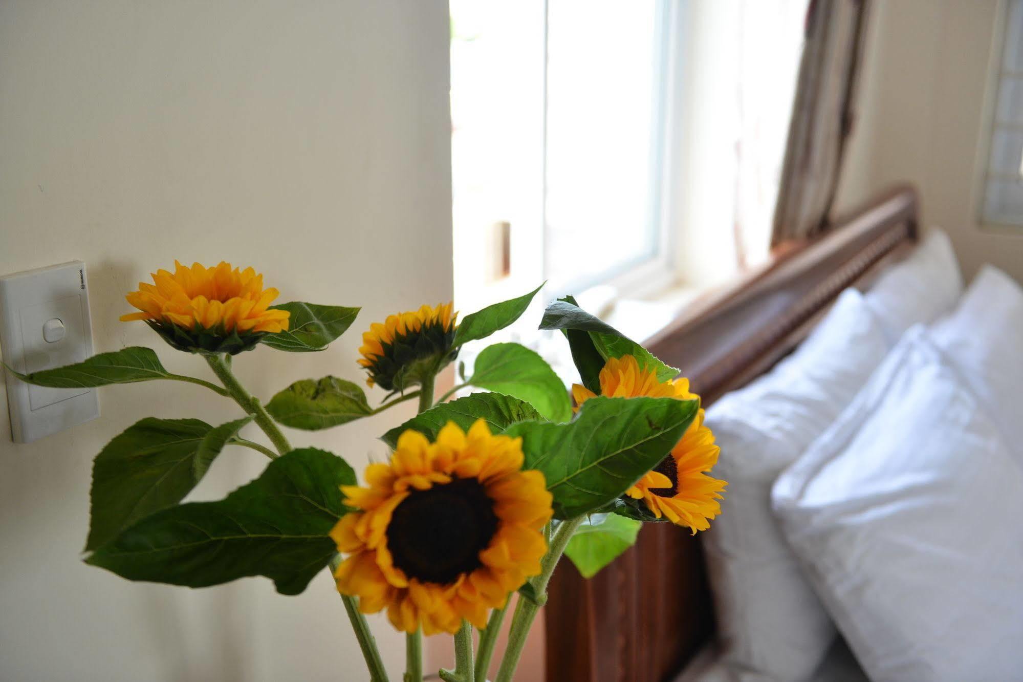 Oc Tien Sa Hotel Da Nang Luaran gambar