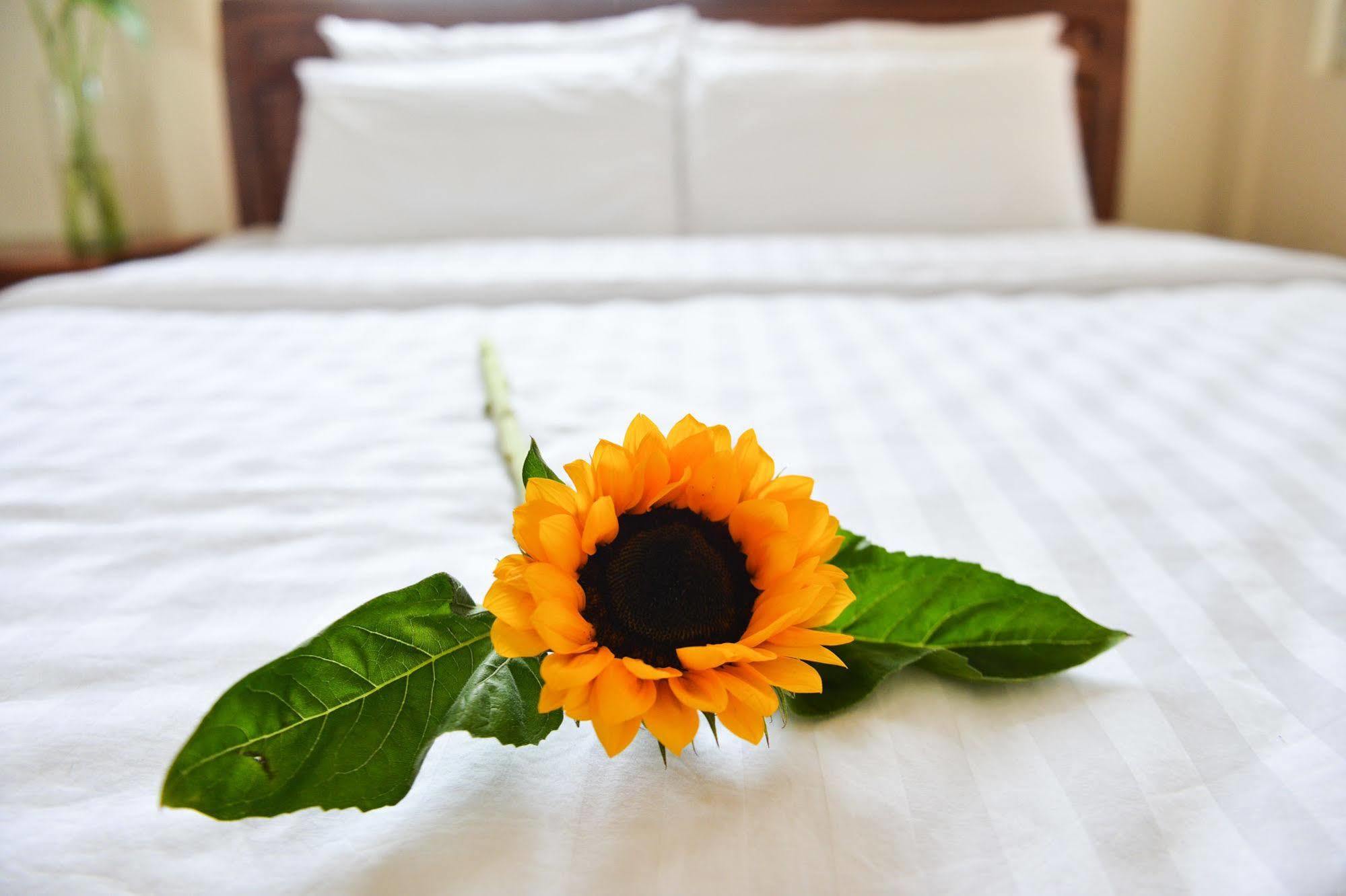 Oc Tien Sa Hotel Da Nang Luaran gambar